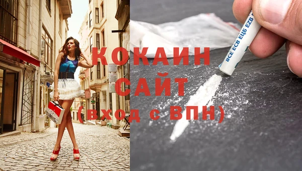 спайс Богданович
