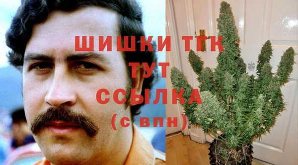 apvp Белокуриха