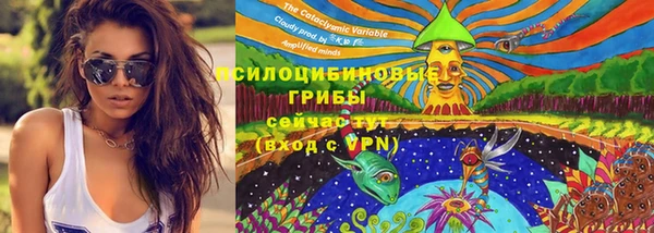дмт Богородск