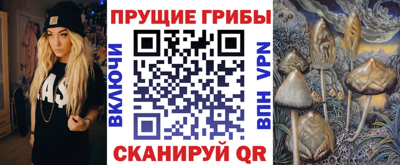 Галлюциногенные грибы мицелий  ссылка на мегу ONION  Малаховка 
